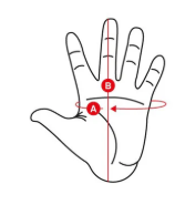 Guantes de Cuero
